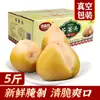 Jin Xiu Shun Couve-mostarda 2,5kg Bolinhas Especialidade do Nordeste Heilongjiang Picles Pequenos Vegetais Frescos em Conserva para Refeições