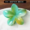 Horquilla de Frangipani de Colores Transfronteriza Europea y Americana Horquilla de Bauhinia Clip de Tiburón de Playa de Alto Nivel Joyería