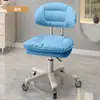 Silla de Bar Moderna Simple Taburete de Recepción Taburete de Belleza Taburete con Ruedas al por Mayor Silla con Respaldo Elevable Silla de Manicura