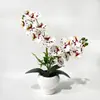 Artículo popular de comercio exterior: Decoración de Planta en Maceta de Orquídea Phalaenopsis de 14 Piezas para Habitación de Hotel, Flor Artificial de Tacto Realista Exhibición de Bonsái
