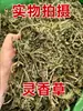 Atacado de uma grande variedade de especiarias e temperos para venda ambulante, incluindo várias misturas de especiarias, sachês de tempero e marinadas, todos por um yuan