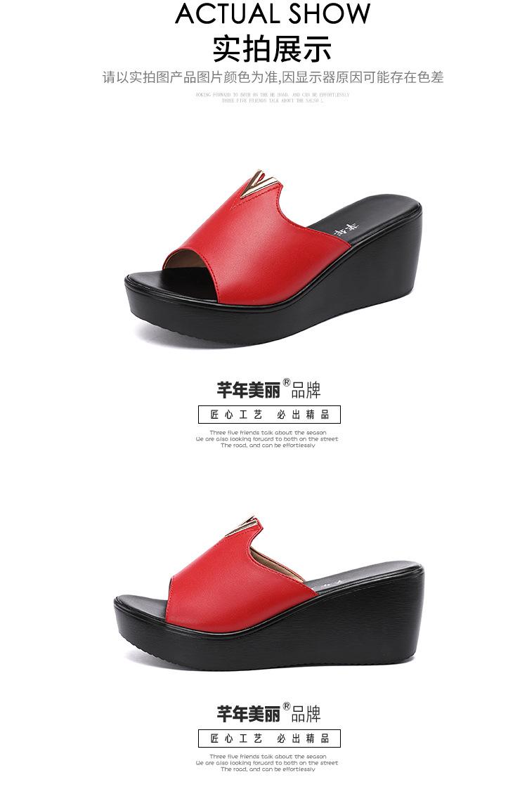 红_19.jpg