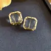 Elegante e Luxuoso~ Brincos de Clipe e Tarraxa Quadrados de Cristal Agulha de Prata, Brincos de Estilo High-End de Luxo Leve, Acessórios de Orelha Modernos e Versáteis