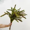 Espiga de grano de rama única de simulación que contiene Yang, espiga de mijo falso de jardín natural, espiga de trigo falso, decoración del hogar, decoración de casa de huéspedes, fotografía