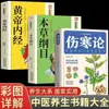 Versão Completa da Obra Original de Zhang Zhongjing sobre Febre Tifoide, Ilustrações Genuínas, Versão Vernacular de Febre Tifoide e Doenças Diversas, Autodidatismo da Teoria Básica da Medicina Tradicional Chinesa