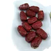 Frutas Artificiales de Alta Calidad Plástico Dátiles Rojos Espuma Dátiles Secos PVC Artificial Cacahuete Pequeño Físico Niños Desarrollo Intelectual Materiales de Enseñanza