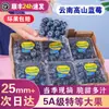 Arándanos de Yunnan Fruta Fresca con Aroma Floral, Fruta Especial de Temporada Fresca, Caja Completa, No Incluye Caja de Regalo Sf Express/Jd