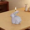 Zongbo Molde de Silicona de Conejo Semi-3D para Pascua, Molde para Velas Aromáticas DIY, Molde de Adorno de Conejo
