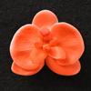 Materiais de Embalagem para Buquês Jemi, Suprimentos para Floristas, Embalagem Floral, Spray Corante à Base de Água, Tinta Spray, Spray para Flores