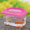 Caja acrílica pez caja trepador mascota gusano de seda caja de alimentación para bebés tortuga caja de observación plástico pecera de peces dorados caja cerrada