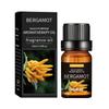 Óleo Essencial de Aromaterapia Desodorizante Transfronteiriço 10ml Máquina de Aromaterapia para Interior Fragrância Duradoura Óleo Essencial de Lavanda para Massagem