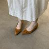 Zapatos de Commuter Retro de Punta Fina con Tacón Grueso y Boca Baja para Mujer 2025 Otoño Nuevo Diseño Versátiles de Gamuza