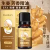 Óleo essencial de planta de rosa de artemísia Hanji 10ml salão de beleza raspagem corporal massagem óleo essencial composto atacado de fábrica