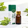Venta al por mayor del fabricante Aceite Esencial de Planta de Ajenjo Salón de Belleza Sala de Moxibustión Cuidado Corporal Aceite Esencial de Hoja de Ajenjo Aceite para Masaje Corporal