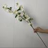 Flor de Simulación de Boda Qianlixiang Flor de Decoración Suave para Camino Alto de Techo de Auditorio de Boda Flor de Proyecto Flor de Comercio Exterior