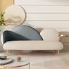 Sofá Pequeño para Apartamento Nórdico Lujo Ligero Creativo Simple Estilo Celebridad de Internet Tienda de Ropa Apartamento Tejido Tecnológico Doble Triple Persona Sofá Pequeño