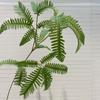 Raminhos Samambaia Folha Simulação Planta Verde Pinheiro Rabo de Peixe Folha Persa Transfronteiriça Folha de Samambaia Pequena Flor Artificial Loja de Shopping Decoração de Estúdio