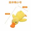 Brinquedo para animais de estimação em estoque Atacado Mordida Resistente Moagem Vara TPR Brinquedo Mordida Teddy Cabelo Dourado Treinamento Interativo Cão Brinquedo