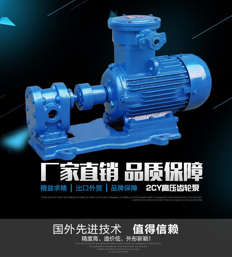 2CY高压齿轮泵详情页主图