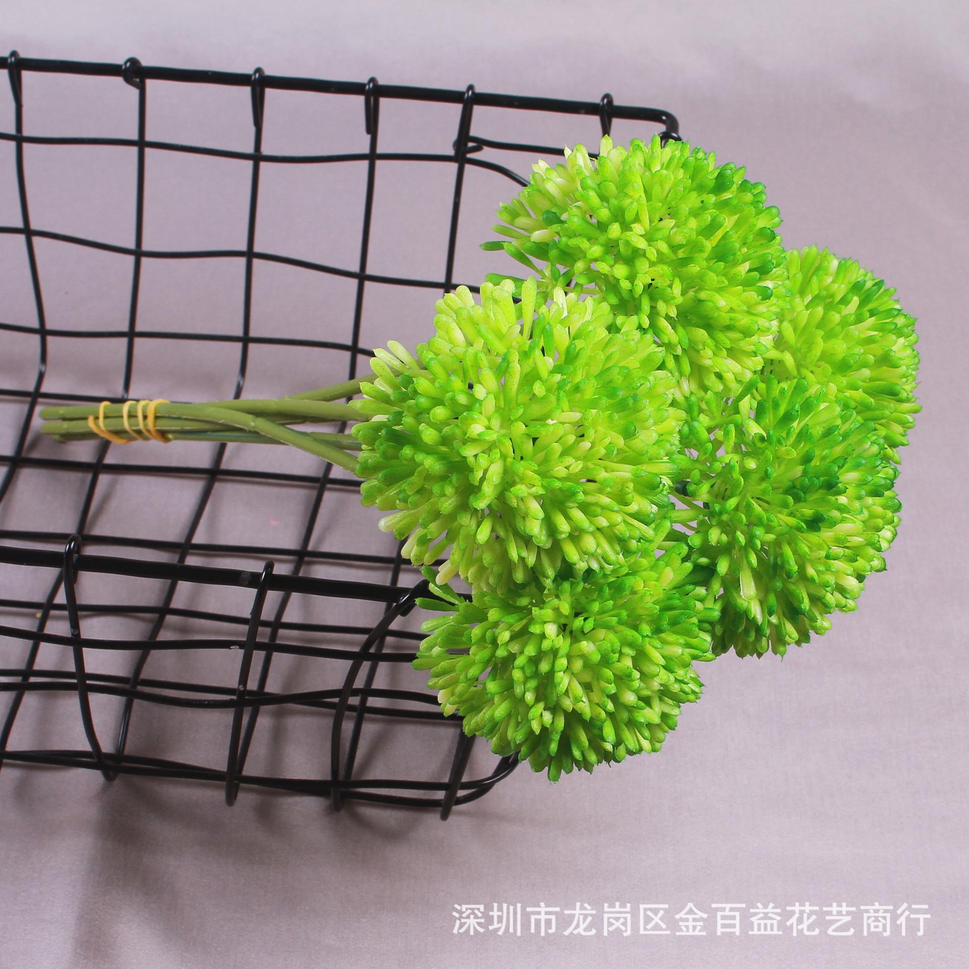 IMG_8573_副本.jpg