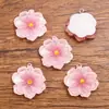 6 cores 24x26mm Acessórios de resina DIY Pingente de planta flor transparente para bolsas acessórios de joias para celular
