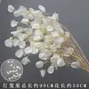Nueva Linterna Artificial Fruta Flor Flor de Techo Flor Falsa Decoración del Hogar Flor Salón de Bodas Salón de Banquetes Decoración Suave Flor de Seda para Bodas
