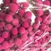 Decoración hecha a mano 1.5cm paquete de 100 bola de pelo muñeca confundida falda material ciencia y educación accesorios
