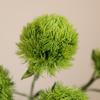 Laranja Mo Nova Planta Verde Simulação Verde Cravo Verde Bola de Grama Verde Decoração de Casa Hotel Flor Artificial Paisagem de Flores
