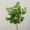 Plantas artificiales al por mayor: hojas de begonia simuladas, hojas de camote, hojas de dinero, hojas pequeñas, eucalipto, inserciones de plantas decorativas para arreglos florales y paisajismo