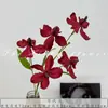 Casamento Vermelho Flor de Simulação Banquete de Bebê Chinês Banquete de Casamento Layout do Quarto de Casamento Flor Artificial Cor de Outono Série Caramelo Liderança de Estrada