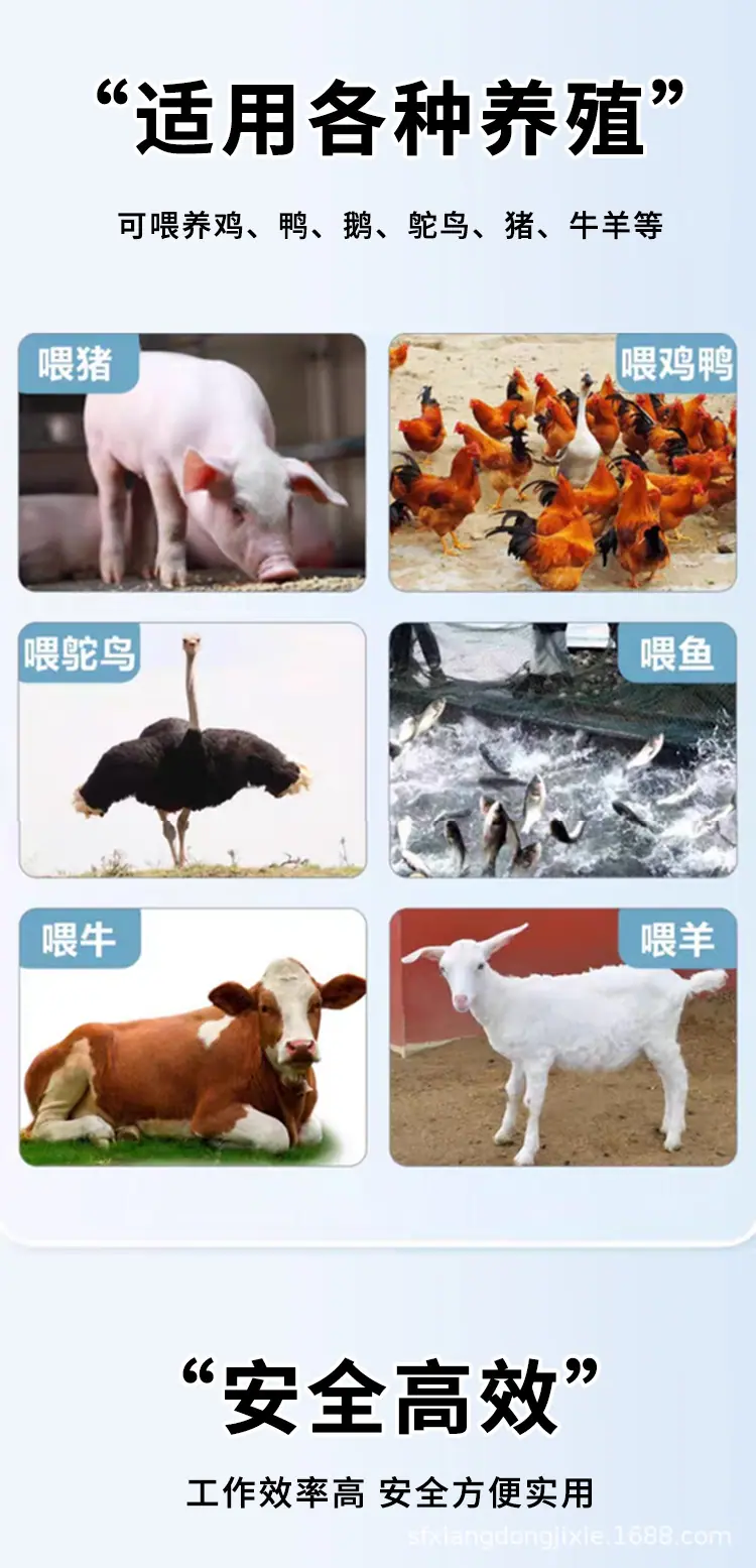 详情页做完_17.jpg