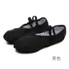 Venta al por mayor de fábrica zapatos de baile para mujer niños suela blanda zapatos de ballet zapatos de baile para adulto práctica básica de yoga zapatos de garra de gato