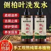Nanjing Tongrentang Champú Artesanal de Hoja de Platycladus Champú Nutritivo de Plantas con Aceite de Jengibre Productos para el Cuidado de la Piel