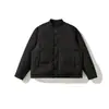 Ropa Vintage Yidao 2026 Invierno Nueva Tendencia Nacional Retro Nuevo Chino Cuello Alto 90 Plumón de Pato Blanco Abrigo Chaqueta de Plumón Cálida