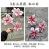 Nuevo Fabricante de Flores Artificiales de Magnolia para Bodas, Flores de Magnolia de 3 Cabezas, Decoración Suave de Fondo para Pasillo de Boda, Flores Falsas al por Mayor