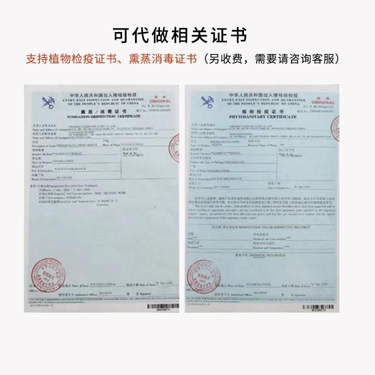 洪艳详情页模板_11.jpg
