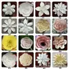 Cartulina de Color Perlado Europea y Americana Accesorios de Fondo para Bodas Suministros Grandes para Arreglos de Boda Ventana Papel Flor Artificial Flor de Papel Hecha a Mano