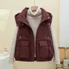 Chaleco de Algodón Plumas Mujer Otoño Invierno 2026 Nuevo Grueso Cálido Con Capucha Diseño Elegante Popular Este Año Chaleco de Moda