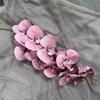 Flores Artificiais de Orquídea Phalaenopsis para Decoração de Casa, Arranjos de Casamento, Flores Falsas por Atacado, Borboleta com Textura Estampada