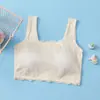 Sutiã de Renda para Meninas Roupa Íntima Respirável Colete para Suor para Alunos do Ensino Fundamental