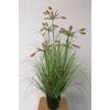 Simulação Reed Artificial Reed Grass Atacado Planta Falsa Shopping Decoração para Casa Cebola Dog Tail Grass Simulação Planta Verde