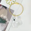 Nuevo Colgante Transparente de Acrílico Almacenamiento de Pelo de Mascota Gato Colección Conmemorativa de Pelo de Perro Colgante de Llavero Venta al por Mayor