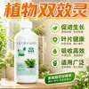 Planta Doble Efecto Ling Antibacteriano Multibacteriano Flor de Ling Flores Caídas Plantas Verdes Camino Universal Bactericida de Patógenos Enfermedad de la Flor Hoja de Flor Kang Ling