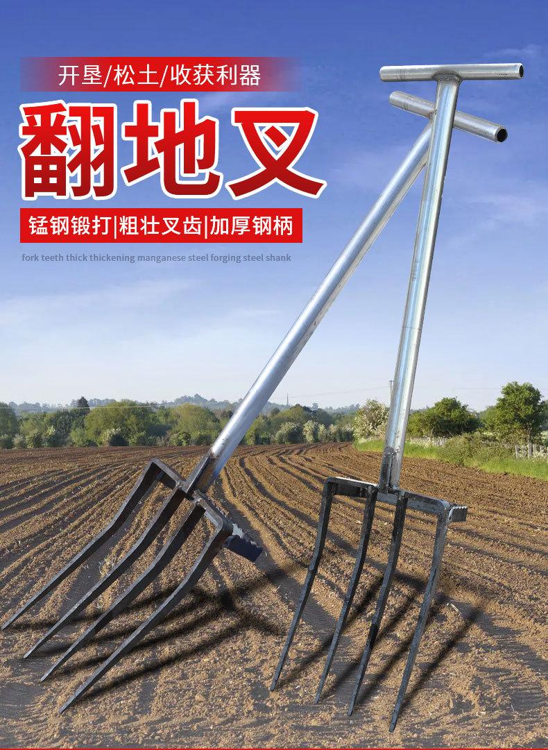 详情页_01.jpg