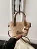 Bolsa Pequena de Lã de Cordeiro Coreana de Nicho, Bolsa Saco Transversal Elegante e Estilosa, Bolsa de Mão e Bolsa de Ombro de Pelúcia Simples e Fofa