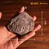 Plantilla para frotar tema fósil de dinosaurio edición de extensión escuela primaria y secundaria investigación decoración del hogar molde Placa de extensión manualidades hecho a mano