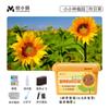 Plantas Pequeñas en Maceta para Niños Caja de Observación del Crecimiento de Plantas para Estudiantes Fresa Maíz Girasol Granja Miniatura de Jardín de Infancia