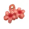 Clip para el Cabello de Color Nuevo Transfronterizo, Combinación de Colores Doble Flor de Huevo, Clip para el Cabello de Bauhinia Colorido, Clip para el Cabello Estilo Festivo, Venta al Por Mayor