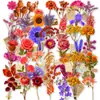 Adesivos Transparentes de Carta de Amor para Pets Modelo Novo Transfronteiriço Peças 50 Criativos Sonhadores DIY Material Decorativo Adesivos à Prova d'Água