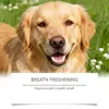 Yegbong Polvo Limpiador de Dientes para Mascotas Cuidado Suave Higiene Bucal de Mascotas Fresco y Limpio Cuidado Polvo Dental